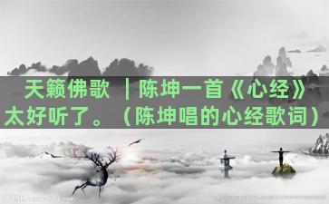 天籁佛歌 ┃陈坤一首《心经》太好听了。（陈坤唱的心经歌词）